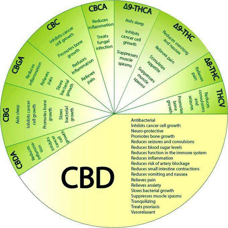Cannabinoid Wheel